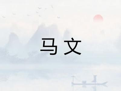 马文 马文