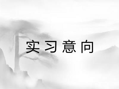 实习意向