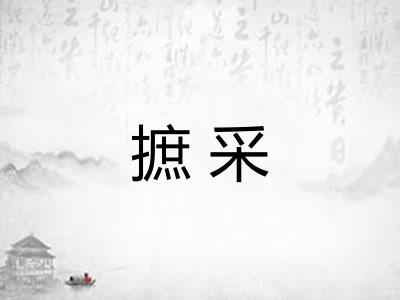 摭采
