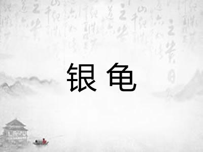 银龟 银龟