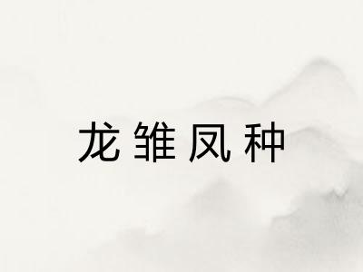 龙雏凤种 龙雏凤种