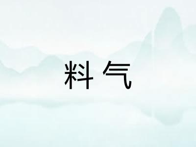 料气