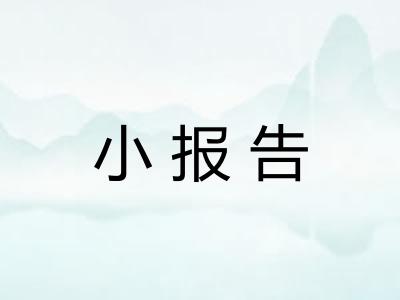 小报告 小报告