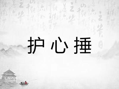 护心捶