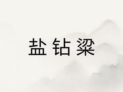 盐钻粱 盐钻粱