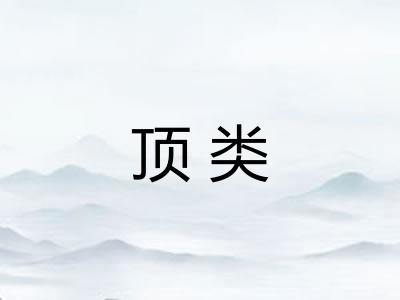 顶类
