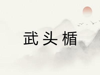 武头楯 武头楯