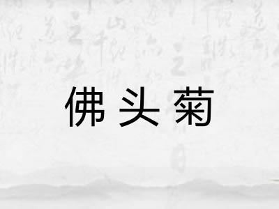 佛头菊