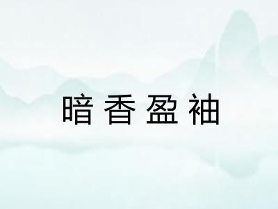 暗香盈袖 暗香盈袖