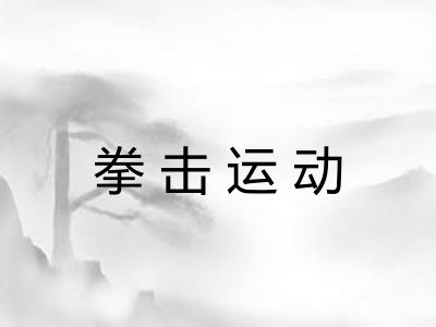 拳击运动
