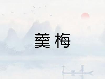 羹梅