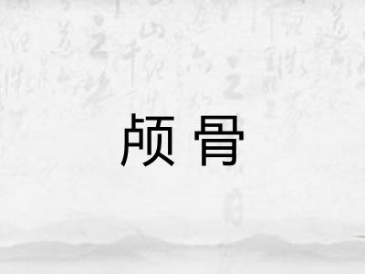 颅骨