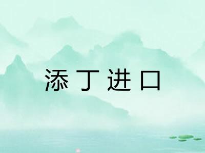 添丁进口