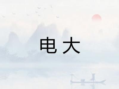 电大