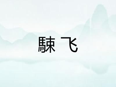 駷飞