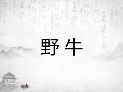 野牛