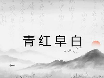 青红皁白