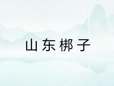 山东梆子