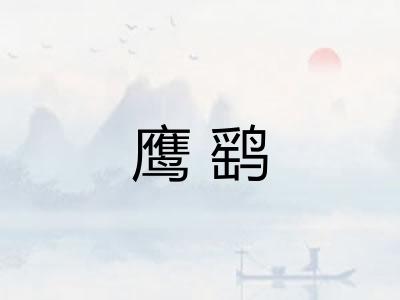鹰鹞