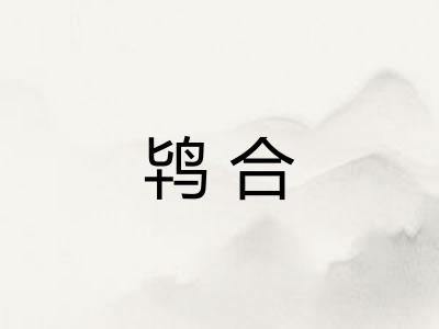 鸨合 鸨合
