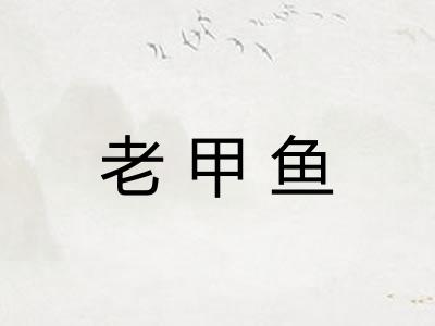 老甲鱼