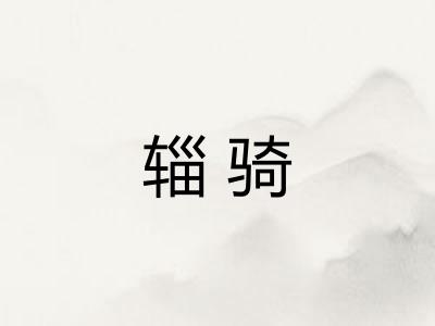 辎骑