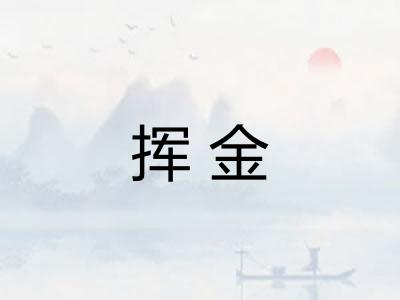 挥金 挥金
