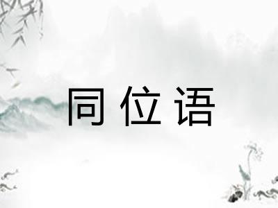 同位语 同位语