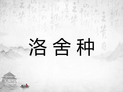 洛舍种