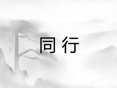 同行