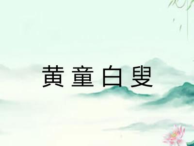 黄童白叟