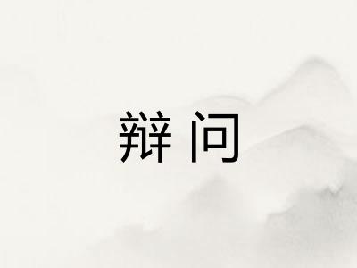 辩问
