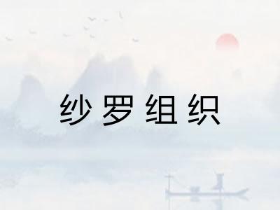纱罗组织