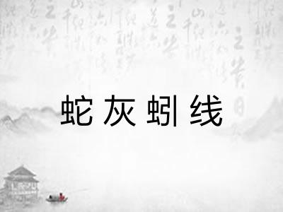 蛇灰蚓线