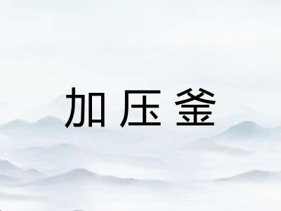 加压釜 加压釜