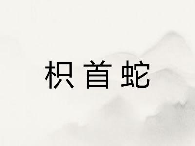 枳首蛇