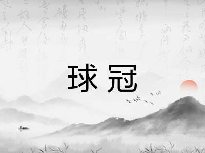 球冠