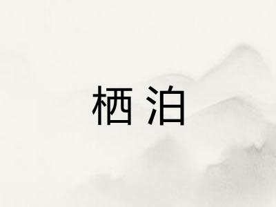 栖泊
