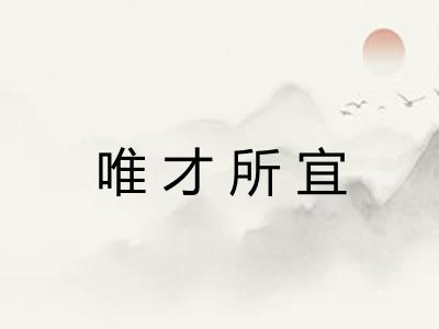 唯才所宜