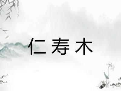 仁寿木