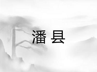 潘县