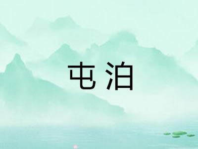屯泊