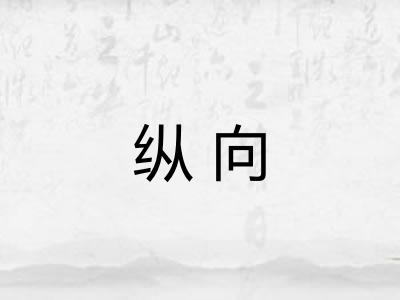 纵向