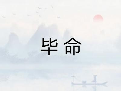 毕命