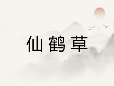 仙鹤草