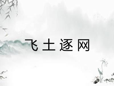 飞土逐网