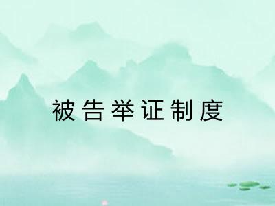 被告举证制度