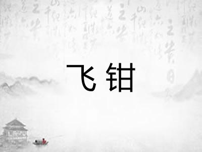 飞钳