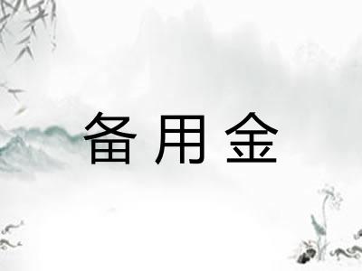 备用金 备用金