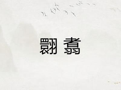 翾翥